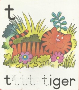 T-is-for-Tiger